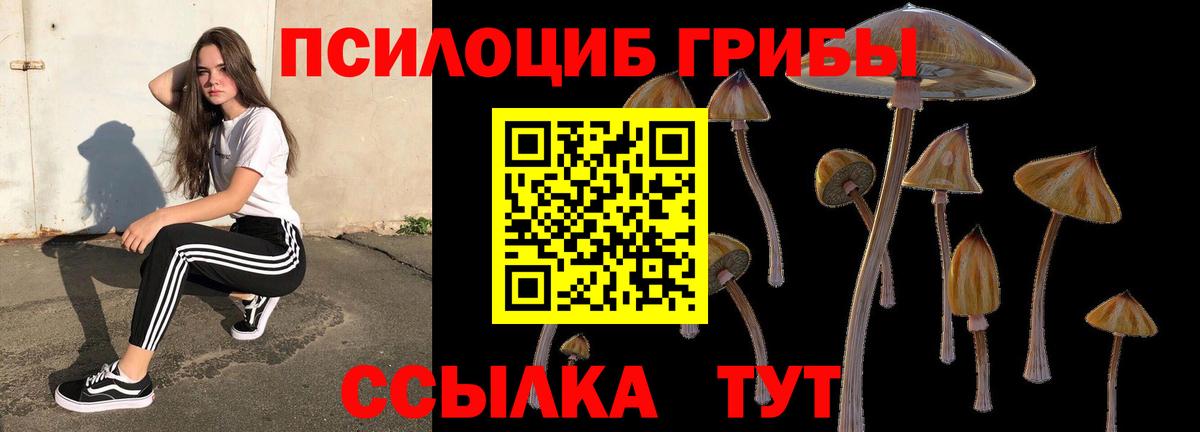 Псилоцибиновые грибы MAGIC MUSHROOMS Алатырь